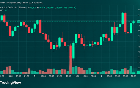 Bitcoin Price Roars Back From $77,603 as Bulls Eye $80,000