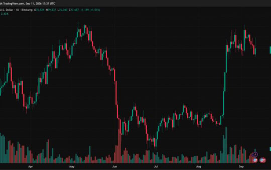 Bitcoin Price Spikes Near $80K as CPI Matches Forecasts