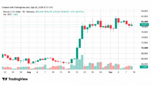 Bitcoin Price Steadies at $78K Despite $6B Treasury Action