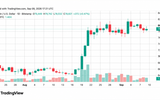 Bitcoin Price Steadies at $78K Despite $6B Treasury Action