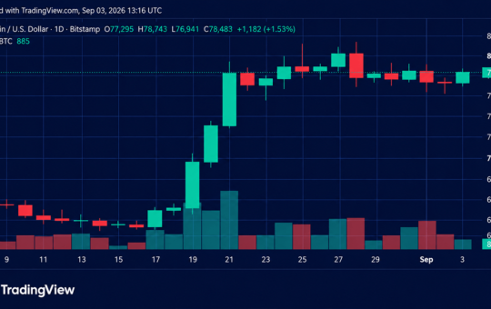 Bitcoin Price Surges as Bulls Slam Into $79,000 Resistance