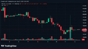Bitcoin Price Takes a $3,215 Ride Just to Land Back at $77K