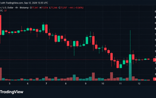 Bitcoin Price Takes a $3,215 Ride Just to Land Back at $77K