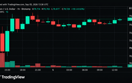 Bitcoin Price Teeters Near $80K as Momentum Starts to Crack