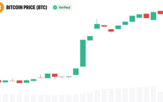 Bitcoin Was the Asset. Now Institutions Are Building Around It