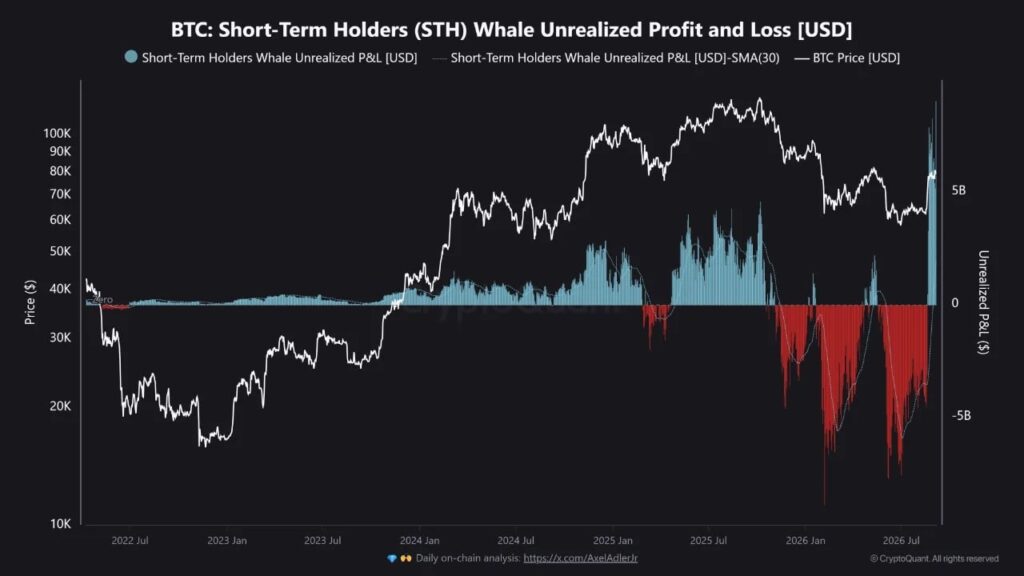 Bitcoin's $9.07B Whale Profit Record Puts Rally Floor to Test