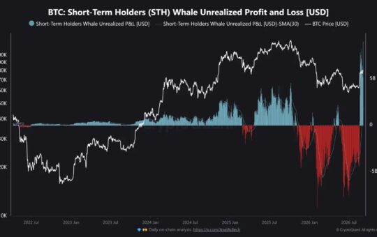 Bitcoin's $9.07B Whale Profit Record Puts Rally Floor to Test