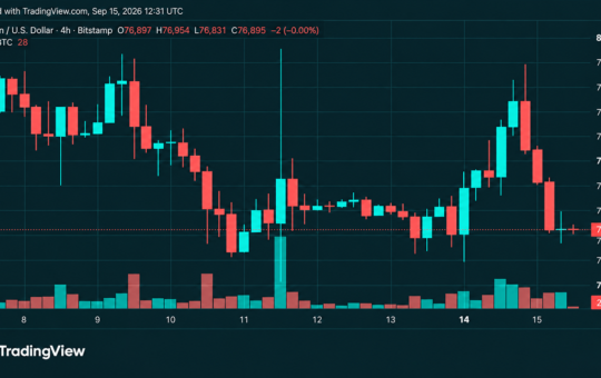 Bitcoin's Price Is Sitting on Support After a Brutal $79K Rejection