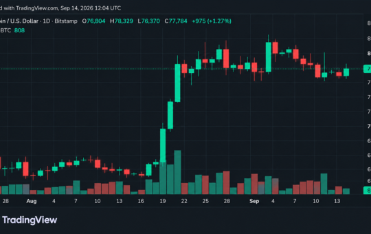 Bitcoin's Price Refused to Break at $76K, but $79K Won't Give