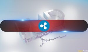 Could That Be a Bullish Signal?