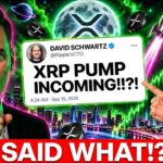 DAVID SCHWARTZ: MAJOR XRP PUMP INCOMING!!!??? (THIS IS HUUUUUUGE)