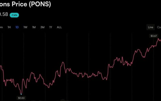 DRW's Cumberland Is Buying Robinhood Chain's Meme Star PONS