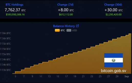 El Salvador's Bitcoin Stash Grows to 7,762 BTC Despite IMF Reservations