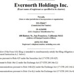 Evernorth Lines Up $30M in Notes for XRP Buys, Ecosystem Activity