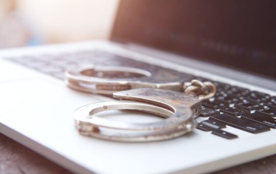 Feds Charge Vietnamese National in $16M Pig Butchering Crypto Scheme