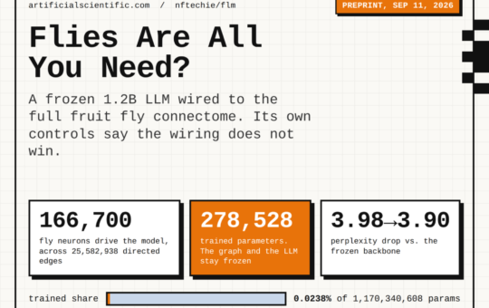 Fly Language Model (FLM) Wires the Full Fruit Fly Connectome Into a Frozen 1.2B LLM, and Its Own Controls Show the Wiring Does Not Help