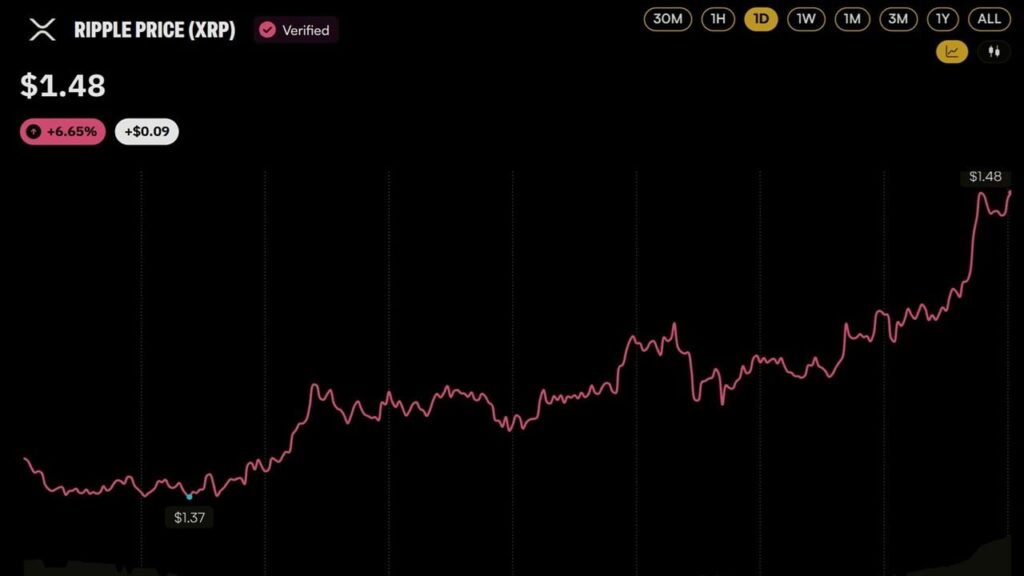 Here's What Launched – Bitcoin News