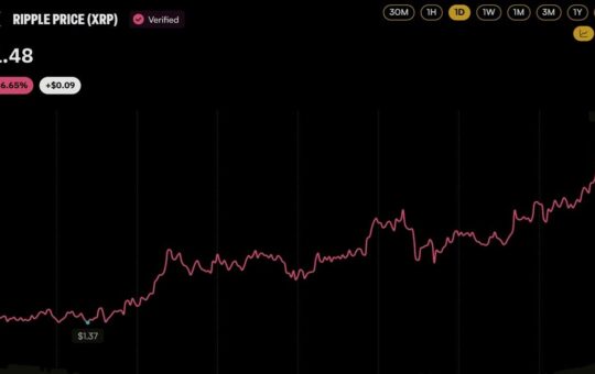 Here's What Launched – Bitcoin News