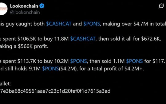 How CASHCAT and PONS Turned $220K Into $4.7M on Robinhood Chain