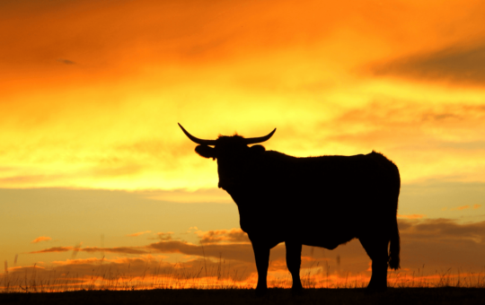 Is the CLARITY Act Really (Not) Needed for Bitcoin Price to Rally?