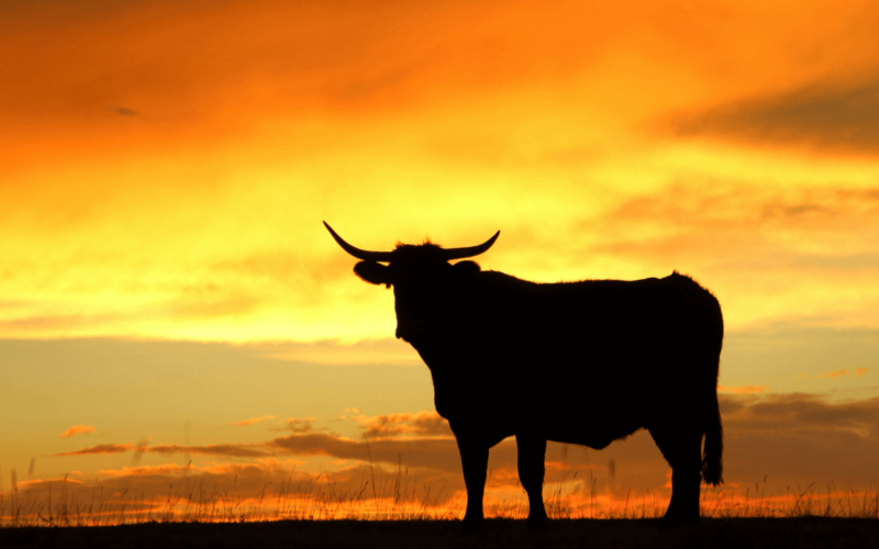 Is the CLARITY Act Really (Not) Needed for Bitcoin Price to Rally?