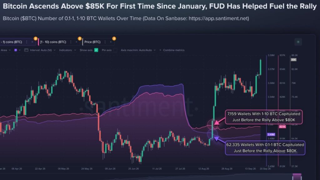 Smaller Bitcoin Holders Sold Before $85K Rally as 69,494 Wallets Exit