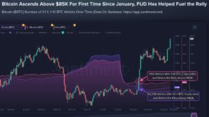 Smaller Bitcoin Holders Sold Before $85K Rally as 69,494 Wallets Exit