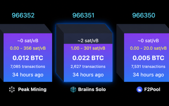 Solo Bitcoin Miner Hits $244K Jackpot After Nearly 40-Day Drought