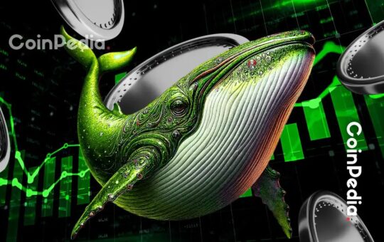 These 5 Altcoins Are Seeing the Biggest Whale Accumulation Right Now