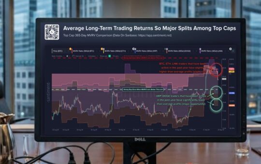 XRP Average Long-Term Trader Still Down 11.75% After Rebound