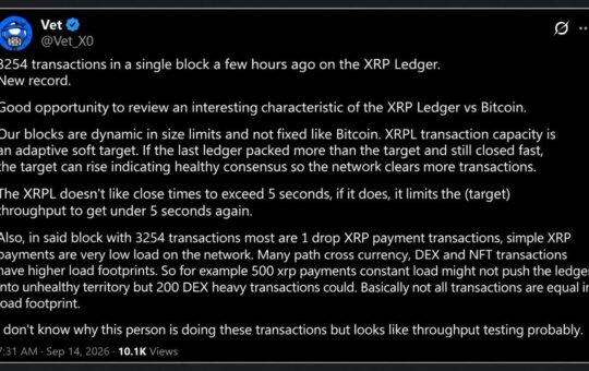 XRP Ledger Broke Its Transaction Record, and 20 Wallets Did Most of It