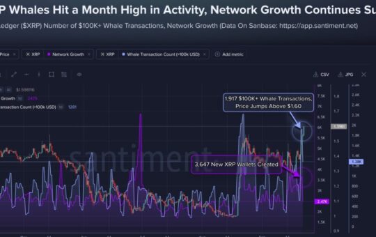 XRP Tops $1.60 as 1,917 Whale Transactions Hit Monthly High