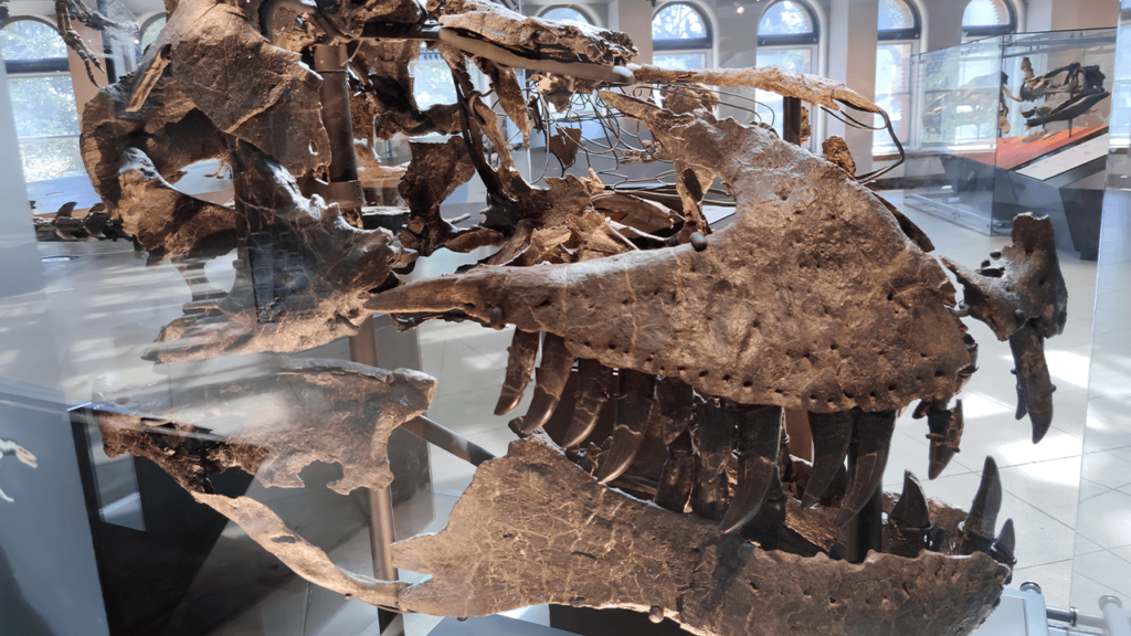 A 66-Million-Year-Old Tooth Shows T. Rex Ran Almost as Warm as a Human Body