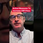 Active Measures To Increase XRP Price #xrp #crypto @digitalassetinvestor