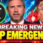 BREAKING XRP NEWS!! THE REAL REASON XRP JUST DROPPED! (WARNING!)