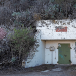‘Bunker Mode’? Crypto Experts Argue Over AI Threat to Bitcoin, Ethereum – Bitcoin News