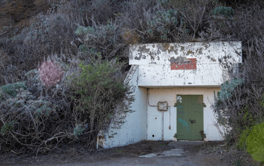 'Bunker Mode'? Crypto Experts Argue Over AI Threat to Bitcoin, Ethereum – Bitcoin News