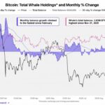Cryptoquant Says Bitcoin Whales Are Back as a Mystery Buyer Grabs $97M