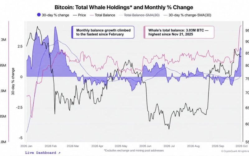Cryptoquant Says Bitcoin Whales Are Back as a Mystery Buyer Grabs $97M