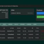 Hyperliquid Whale Down $9 Million This Week Flips to a 20x Tesla Bet