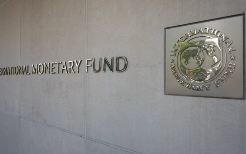 IMF Report Details Why Tokenized Finance Is Struggling to Scale