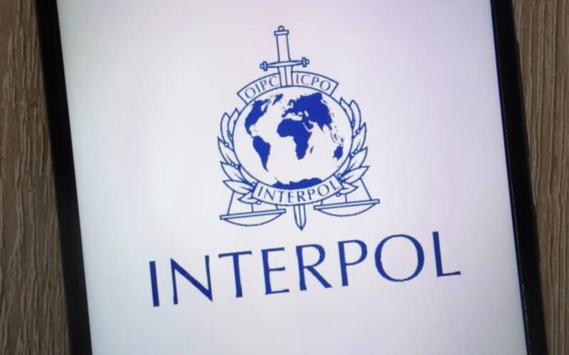 Interpol Africa Sweep Nets 1,462 Arrests, Exposes Crypto Laundering