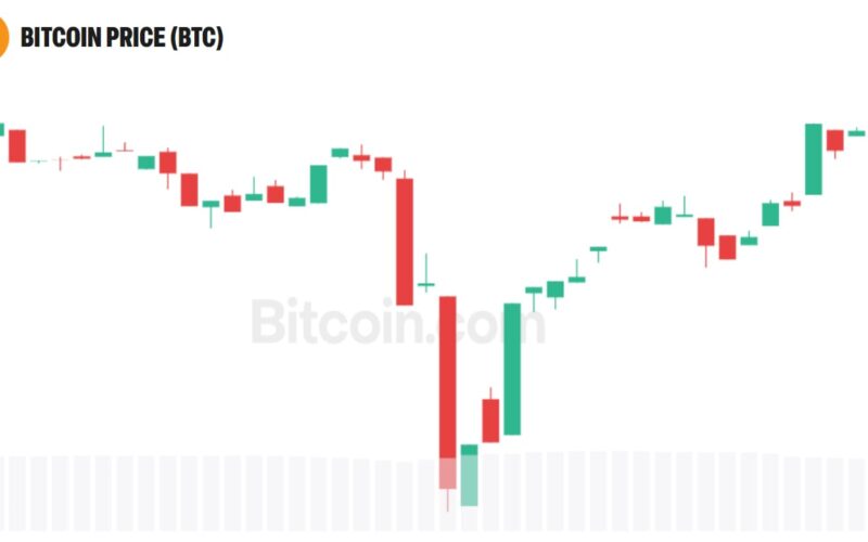 Peter Schiff Warns Bitcoin Could Hit $75K After BTC Fell Below $80K