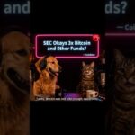 SEC Okays 3x Bitcoin and Ether Funds