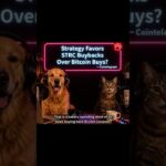 Strategy Favors STRC Buybacks Over Bitcoin Buys