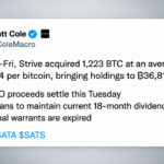 Strive Buys 1,223 Bitcoin While Preparing a $630 Million Cash Raise – Bitcoin News