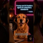 Trump and AI leaders agree to voluntary standards