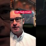 XRP Flash Crash #xrp #crypto @digitalassetinvestor
