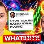 XRP NUCLEAR REVERSAL!!??! THEY JUST LAUNCHED XRP?!?!!