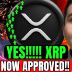 XRP Ripple BANK APPROVED!!! XRP WATCH BRAD Before Tomorrow…